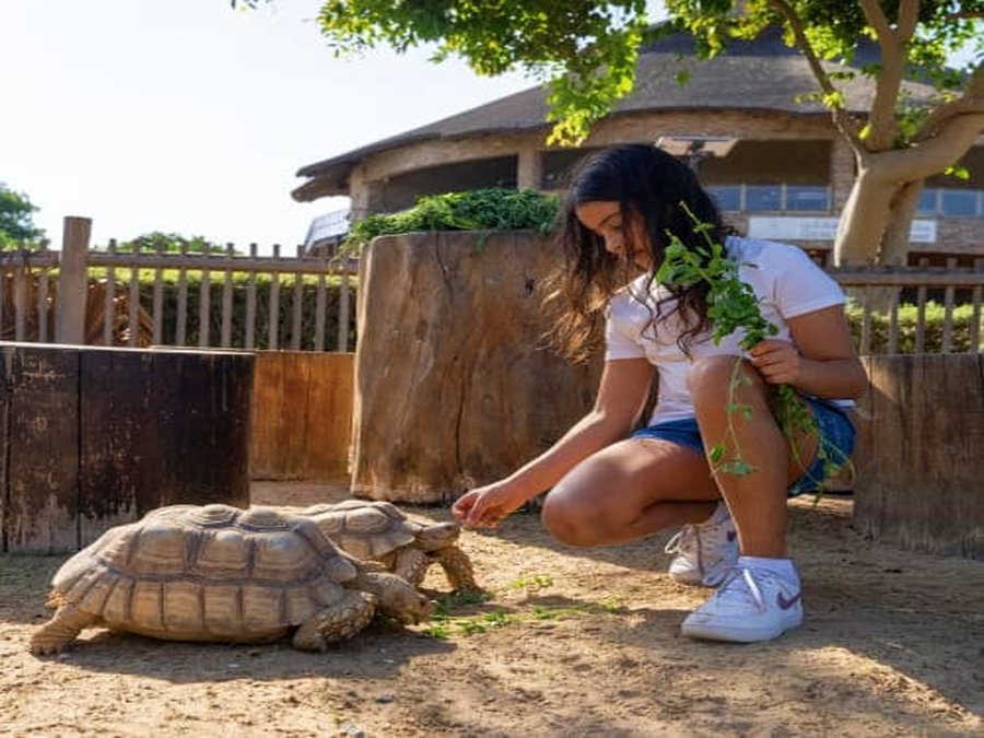 Dubai Safari Park RaynaTours